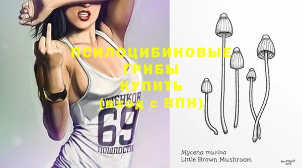 2c-b Белокуриха