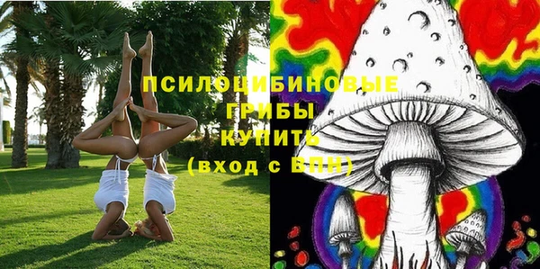 2c-b Белокуриха