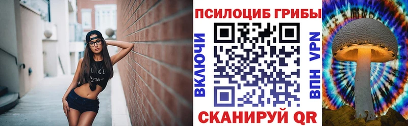 blacksprut зеркало  цена наркотик  Велиж  Галлюциногенные грибы Psilocybe 